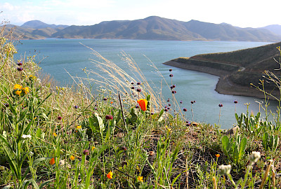 Diamond Valley Marina