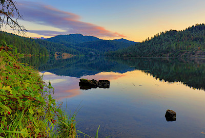 Shasta-Trinity National Forest