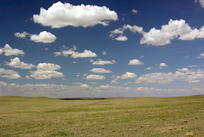 Pawnee National Grassland - Briggsdale