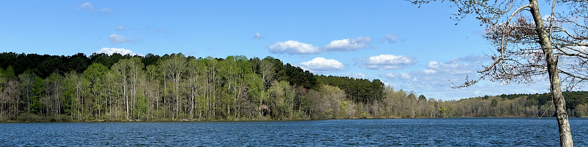 Beech Lake Campground