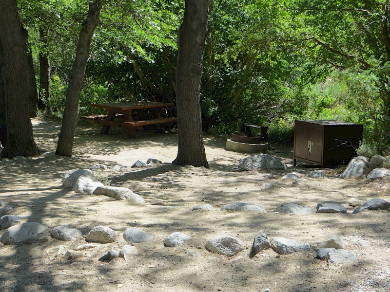 Park Image 2