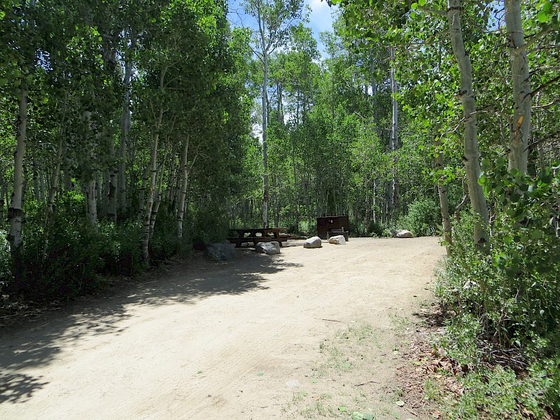 Park Image 3