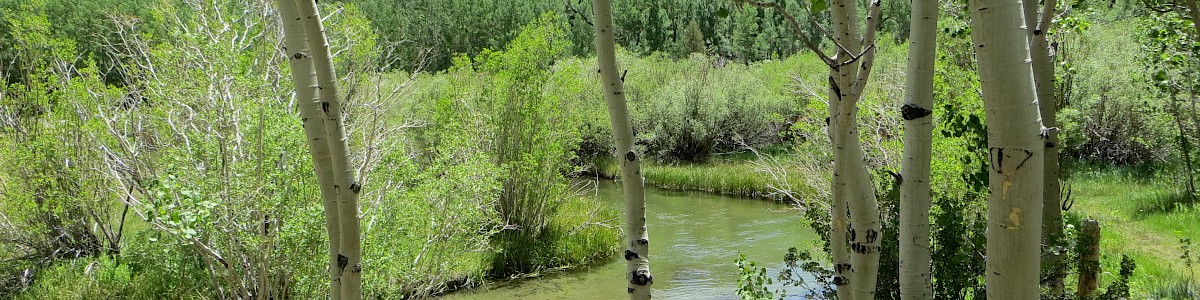 Table Mountain Group Campground