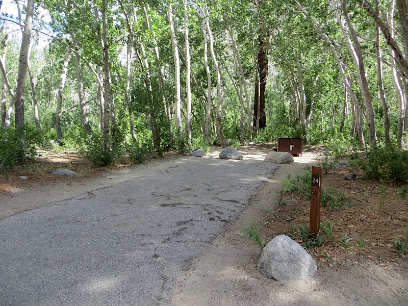 Park Image 2