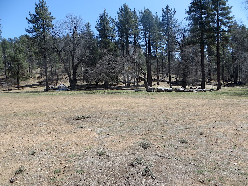 Park Image 2