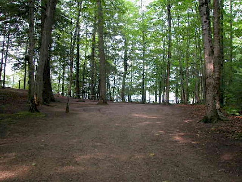 Park Image 16