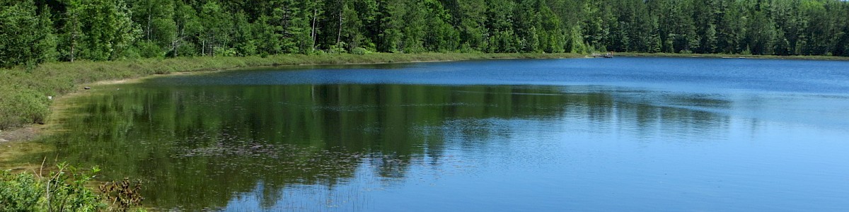 Island Lake Campground