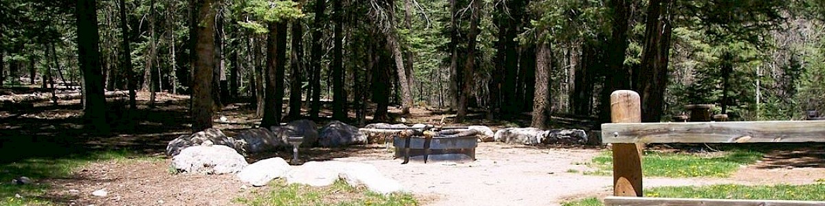 Black Bear Group Campground