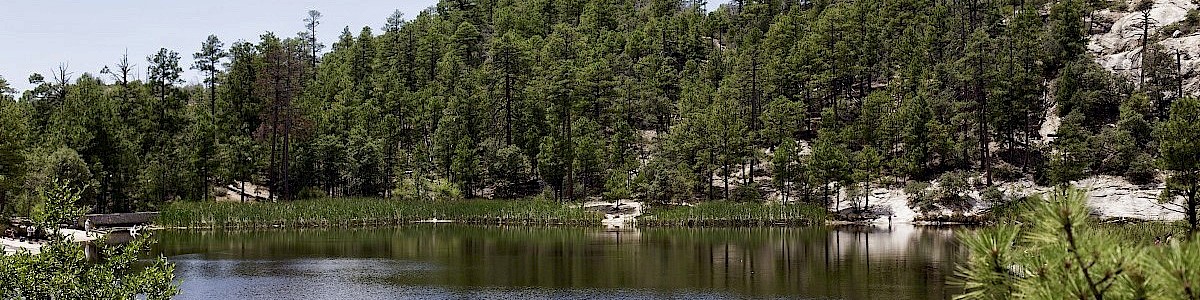 Rose Canyon Campground