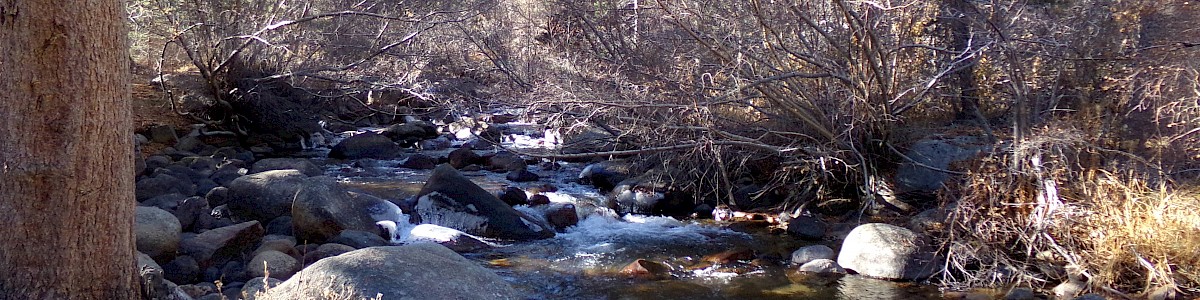 Big Meadow Campground