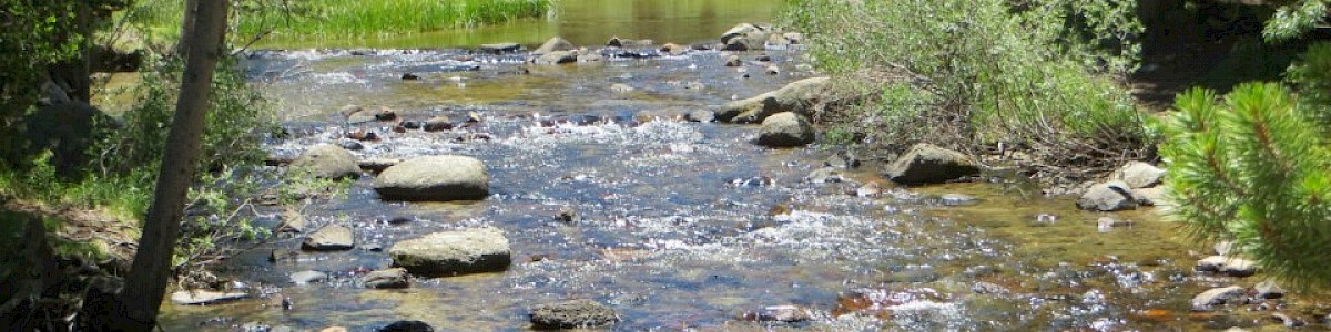 Upper Pine Grove Campground