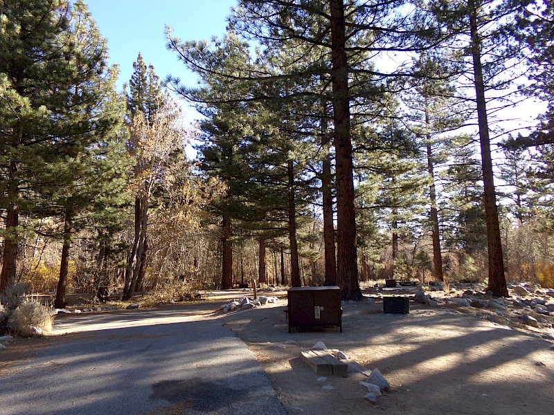 Park Image 3