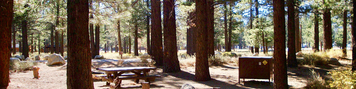 New Shady Rest Campground