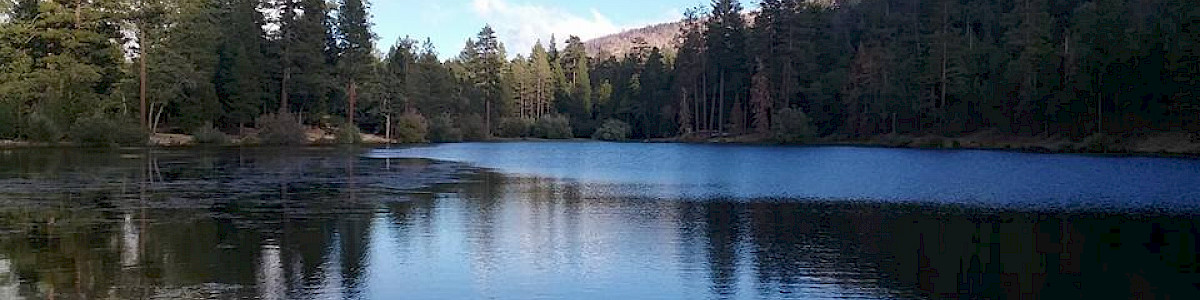 Gray's Peak Group Campground