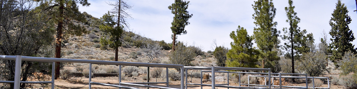 Big Pine Flat Equestrian Group Campground