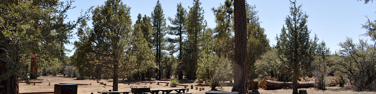 Tanglewood Group Campground