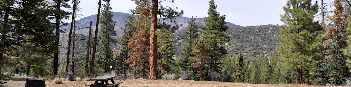 Heart Bar Campground