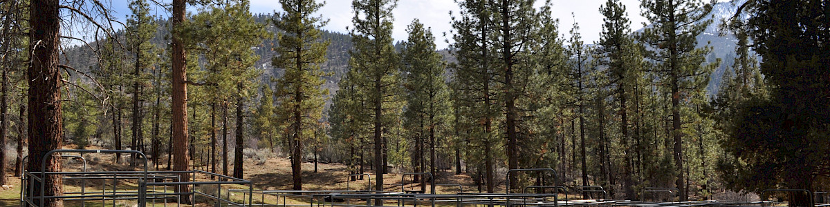 Wild Horse Equestrian Campground