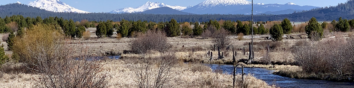 East Davis Lake Campground