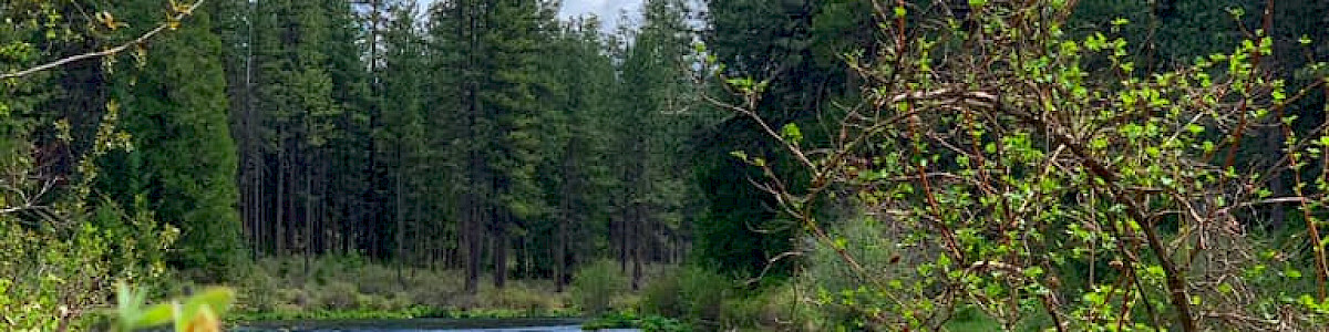 Three Creek Lake Campground