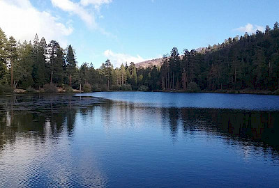 San Bernardino National Forest