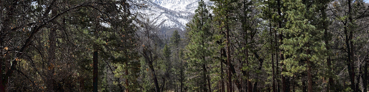 Lobo Group Campground