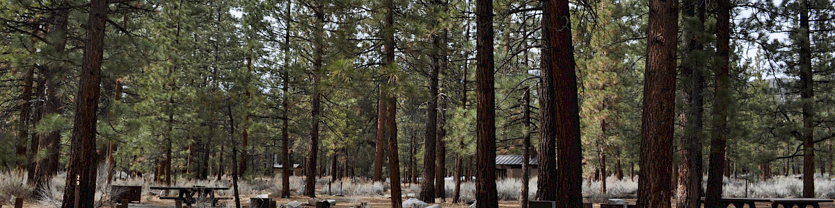 Skyline Group Campground