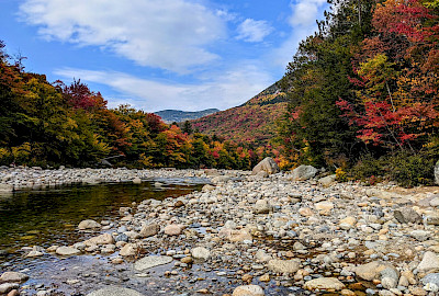 White Mountain National Forest