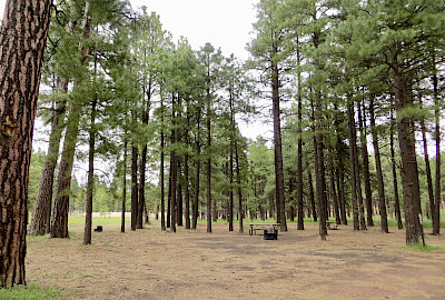 Coconino County Parks